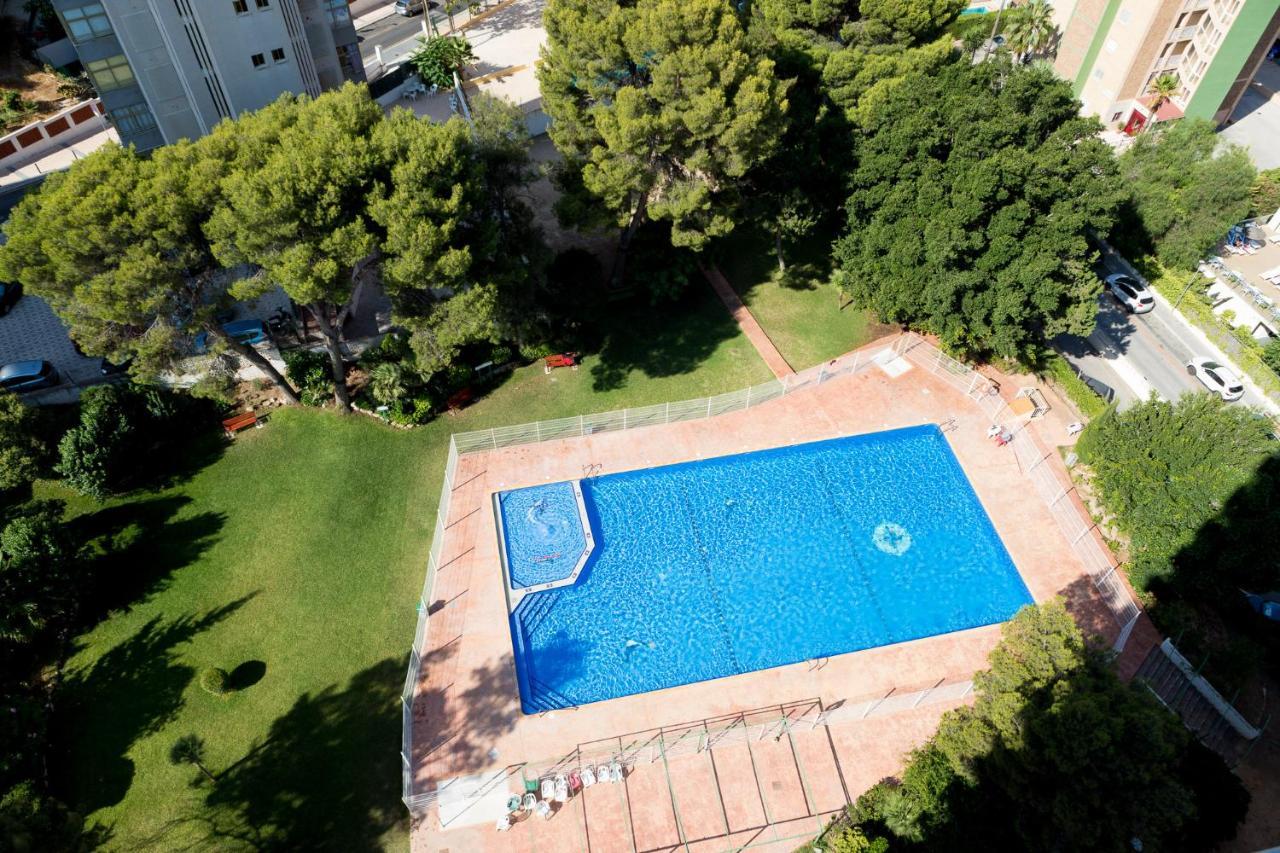 Moonkey - Apto Paris Con Piscina Y Parking Lägenhet Benidorm Exteriör bild